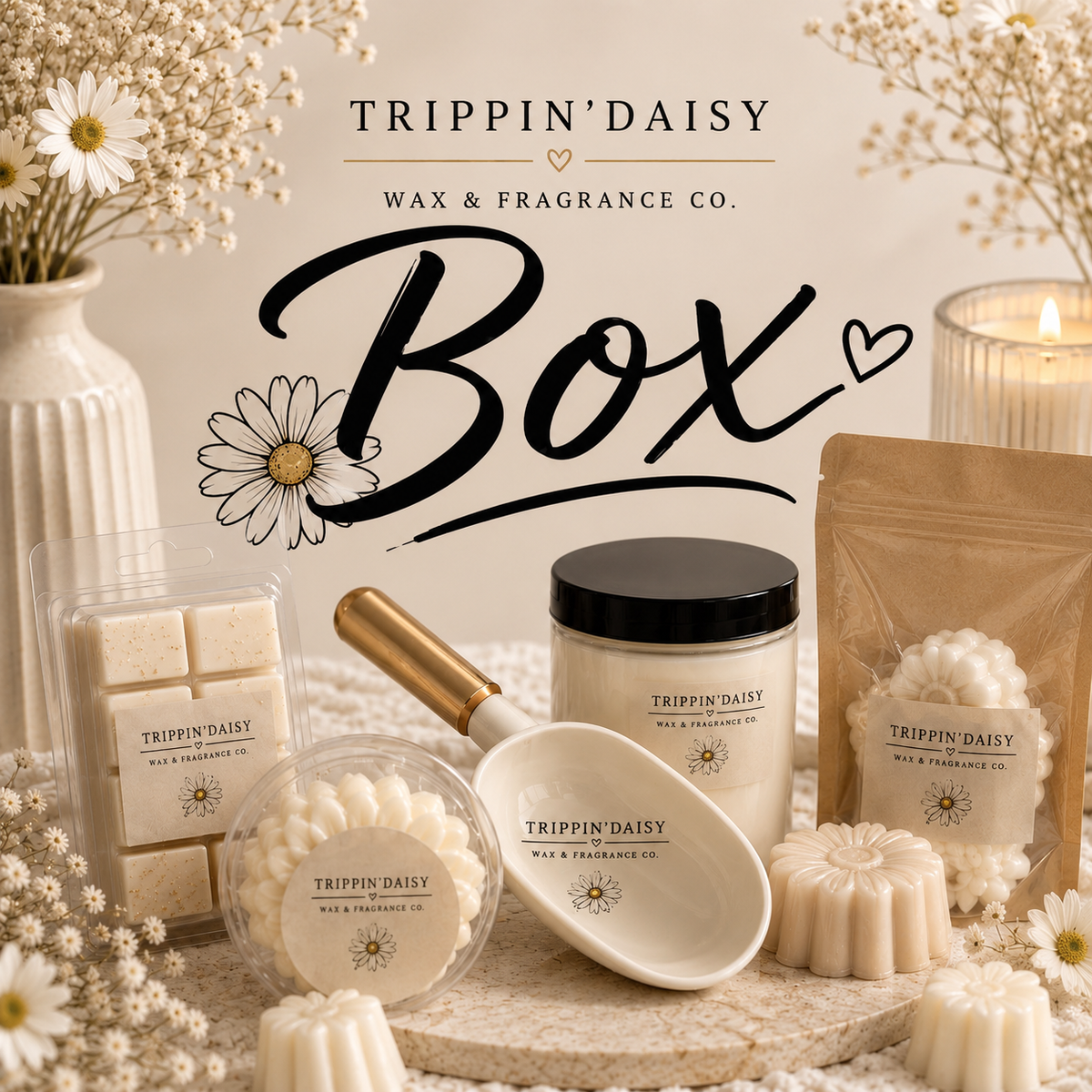 The Boxes